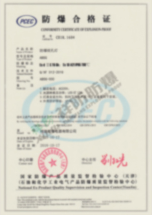 ABSg 合格证 检验报告